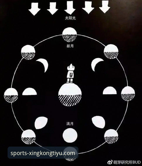 如何快速上手星空体育官网？这份终极使用指南给你答案